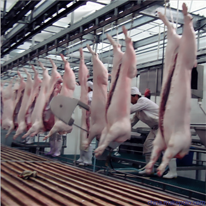 豬白條批發廠家